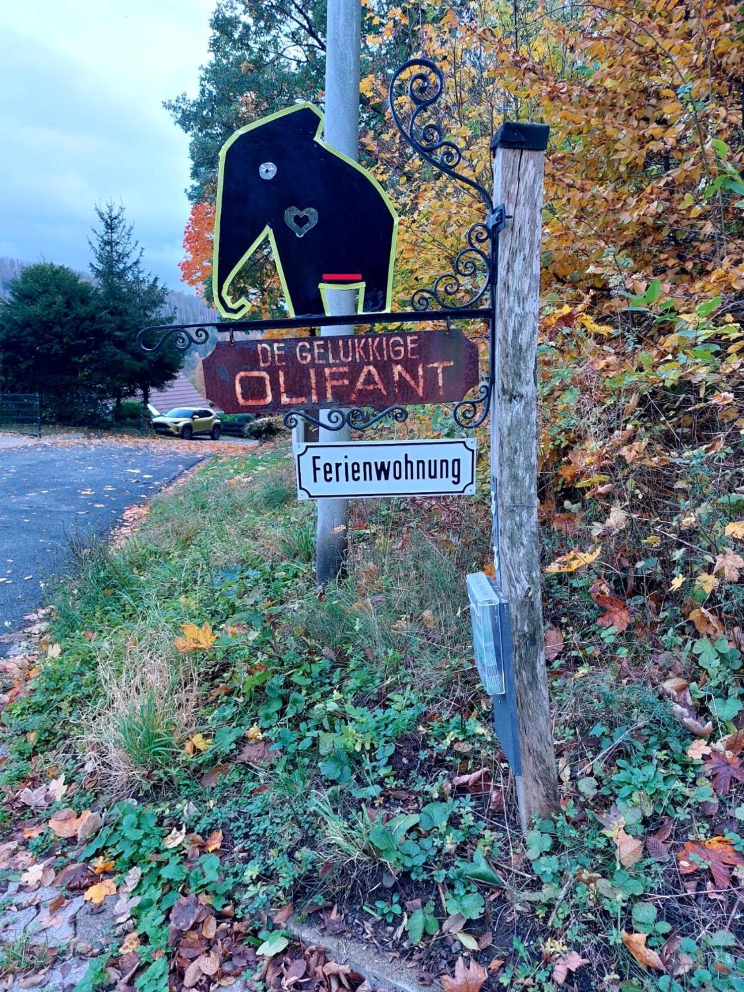 Апартаменты Olifant In Osterode Osterode am Harz Экстерьер фото